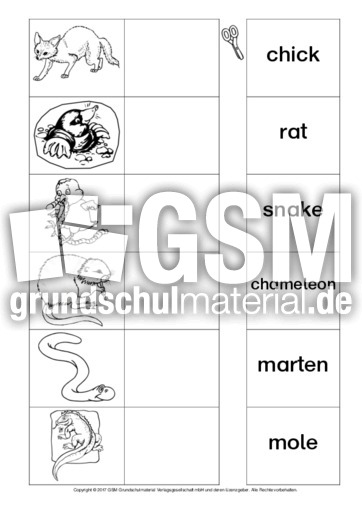 AB-animals-Zuordnung 11.pdf